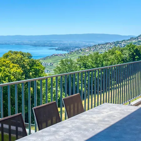 Flat With View Of Léman&swimming Pool Puidoux