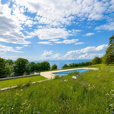 Flat With View Of Léman&swimming Pool * Puidoux